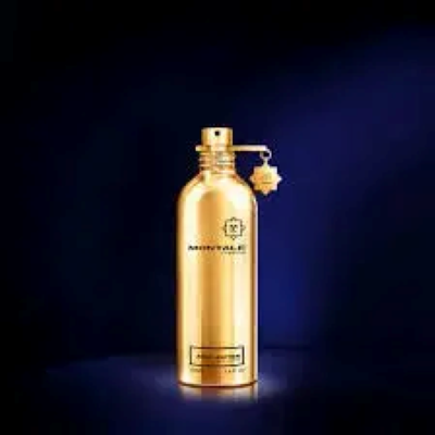 Montale Paris MONTALE AOUD LEATHER 100ML EDP